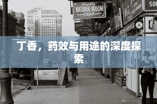 丁香，药效与用途的深度探索
