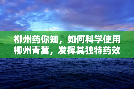 柳州药你知，如何科学使用柳州青蒿，发挥其独特药效？