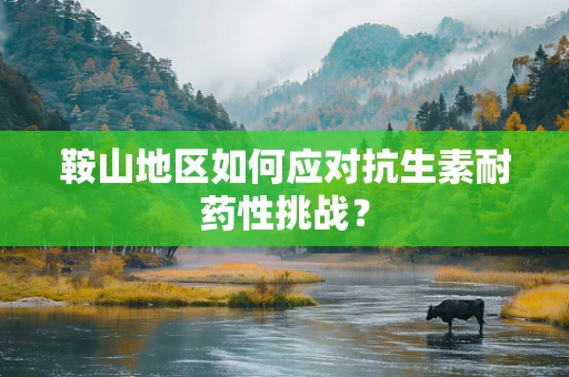 鞍山地区如何应对抗生素耐药性挑战？