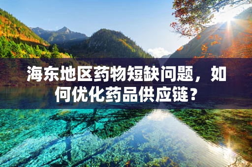 海东地区药物短缺问题，如何优化药品供应链？