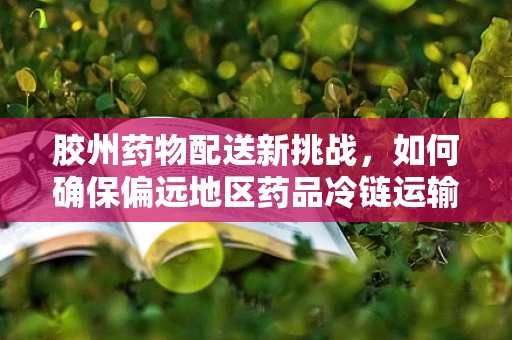 胶州药物配送新挑战，如何确保偏远地区药品冷链运输的最后一公里安全无虞？