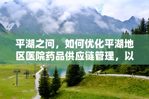 平湖之问，如何优化平湖地区医院药品供应链管理，以提升患者用药安全与效率？