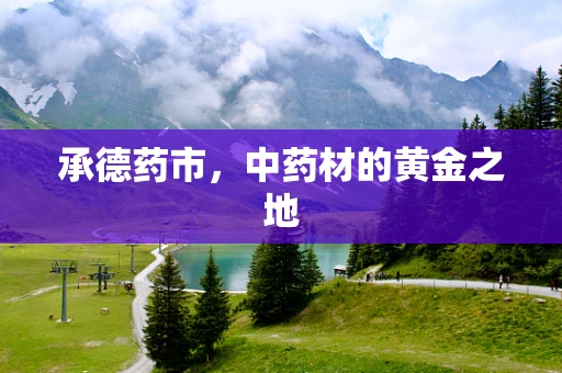 承德药市，中药材的黄金之地