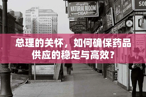 总理的关怀，如何确保药品供应的稳定与高效？