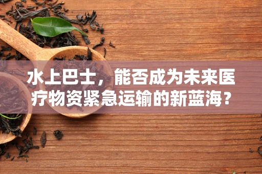 水上巴士，能否成为未来医疗物资紧急运输的新蓝海？