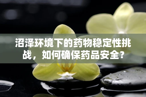 沼泽环境下的药物稳定性挑战，如何确保药品安全？