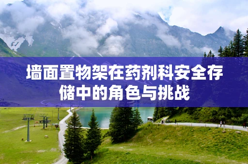 墙面置物架在药剂科安全存储中的角色与挑战