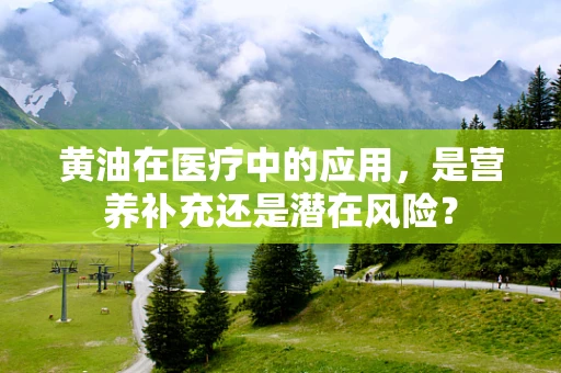 黄油在医疗中的应用，是营养补充还是潜在风险？