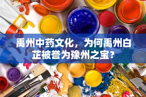 禹州中药文化，为何禹州白芷被誉为豫州之宝？