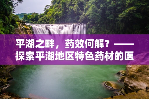 平湖之畔，药效何解？——探索平湖地区特色药材的医疗应用