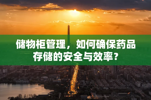 储物柜管理，如何确保药品存储的安全与效率？