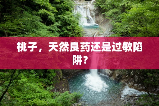桃子，天然良药还是过敏陷阱？