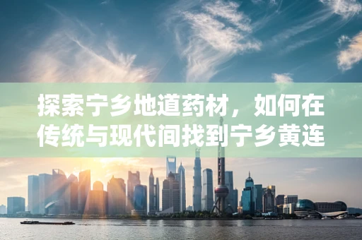 探索宁乡地道药材，如何在传统与现代间找到宁乡黄连的平衡？