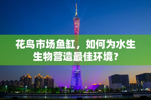 花鸟市场鱼缸，如何为水生生物营造最佳环境？