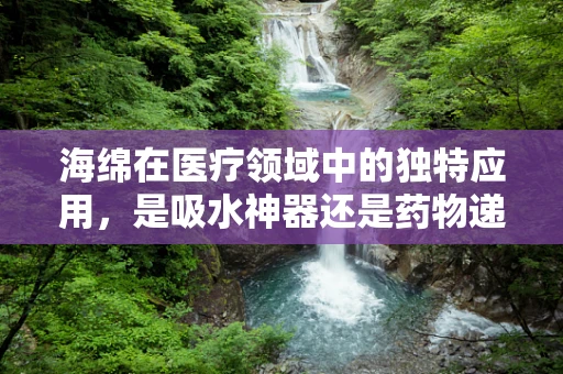 海绵在医疗领域中的独特应用，是吸水神器还是药物递送新星？