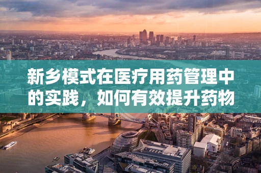 新乡模式在医疗用药管理中的实践，如何有效提升药物使用安全与效率？