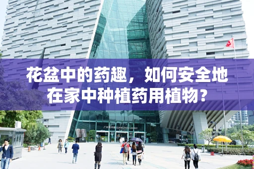 花盆中的药趣，如何安全地在家中种植药用植物？