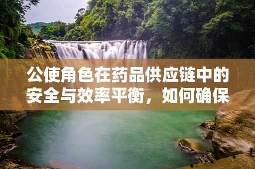 公使角色在药品供应链中的安全与效率平衡，如何确保药品流通的公正与高效？
