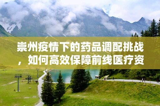 崇州疫情下的药品调配挑战，如何高效保障前线医疗资源？