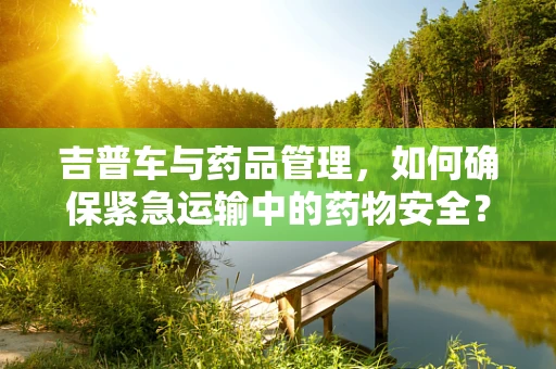 吉普车与药品管理，如何确保紧急运输中的药物安全？