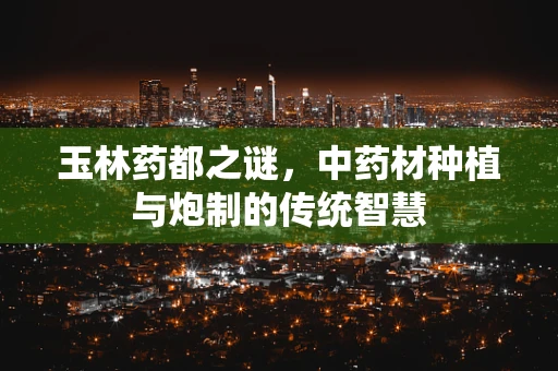玉林药都之谜，中药材种植与炮制的传统智慧
