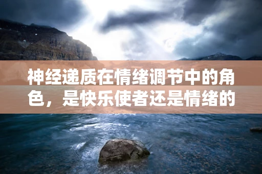 神经递质在情绪调节中的角色，是快乐使者还是情绪的调色板？