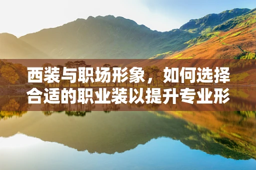 西装与职场形象，如何选择合适的职业装以提升专业形象？