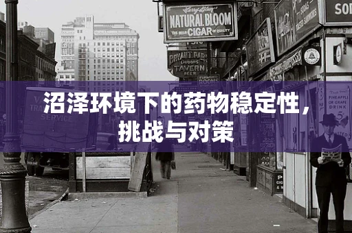 沼泽环境下的药物稳定性，挑战与对策