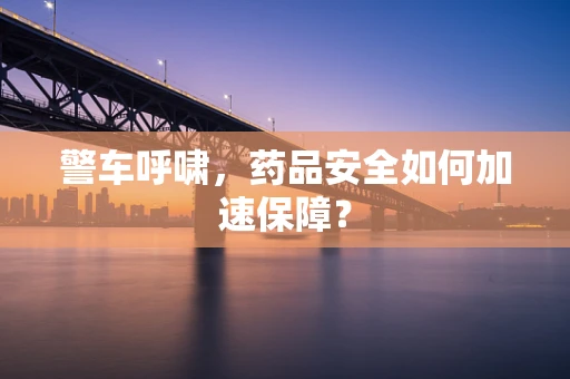 警车呼啸，药品安全如何加速保障？