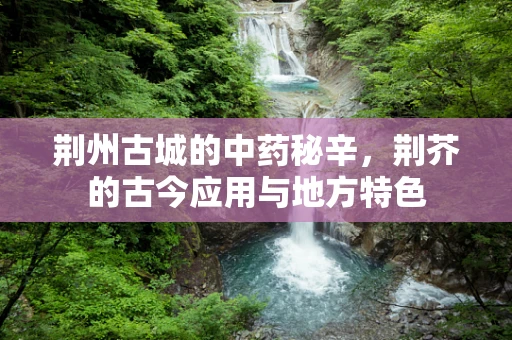 荆州古城的中药秘辛，荆芥的古今应用与地方特色