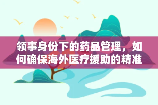 领事身份下的药品管理，如何确保海外医疗援助的精准与安全？