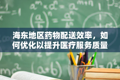 海东地区药物配送效率，如何优化以提升医疗服务质量？