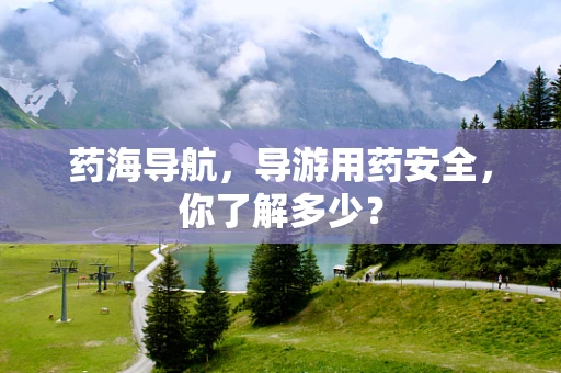 药海导航，导游用药安全，你了解多少？