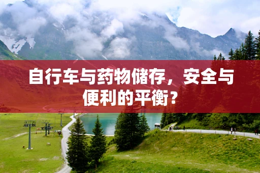 自行车与药物储存，安全与便利的平衡？