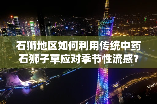 石狮地区如何利用传统中药石狮子草应对季节性流感？