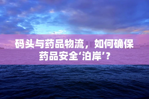 码头与药品物流，如何确保药品安全‘泊岸’？