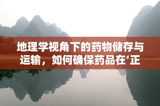 地理学视角下的药物储存与运输，如何确保药品在‘正确’地点‘正确’时间到达？
