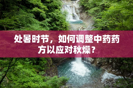 处暑时节，如何调整中药药方以应对秋燥？
