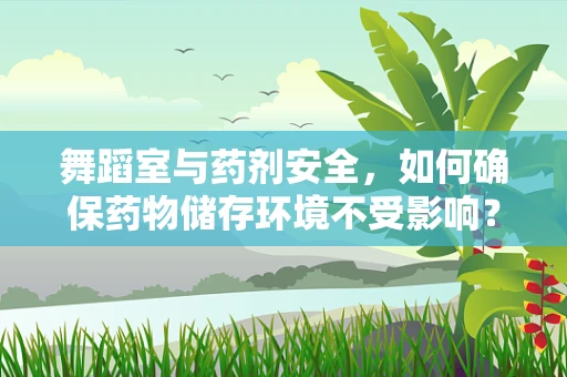 舞蹈室与药剂安全，如何确保药物储存环境不受影响？