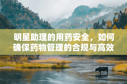 明星助理的用药安全，如何确保药物管理的合规与高效？