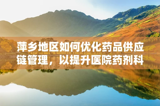 萍乡地区如何优化药品供应链管理，以提升医院药剂科效率？