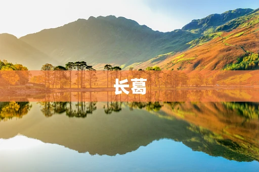 长葛