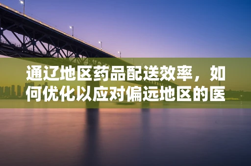 通辽地区药品配送效率，如何优化以应对偏远地区的医疗挑战？
