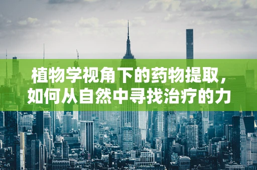 植物学视角下的药物提取，如何从自然中寻找治疗的力量？