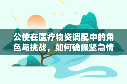 公使在医疗物资调配中的角色与挑战，如何确保紧急情况下的高效供应？