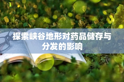 探索峡谷地形对药品储存与分发的影响