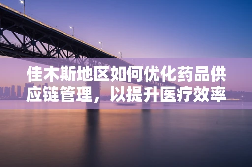 佳木斯地区如何优化药品供应链管理，以提升医疗效率？