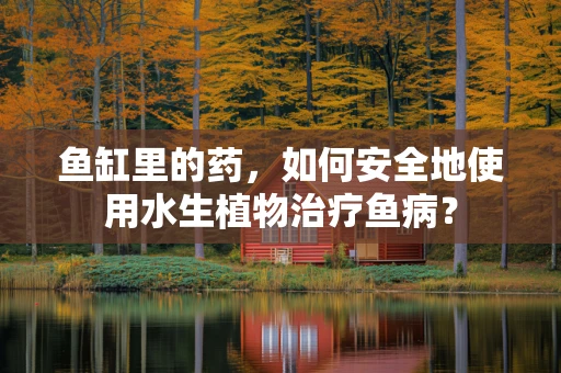 鱼缸里的药，如何安全地使用水生植物治疗鱼病？