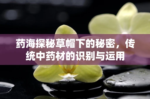 药海探秘草帽下的秘密，传统中药材的识别与运用