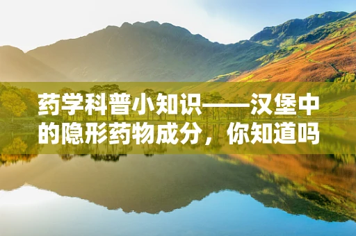 药学科普小知识——汉堡中的隐形药物成分，你知道吗？